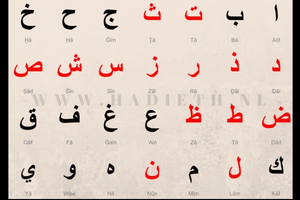 borduurwerk Jurassic Park zebra Het Arabische alfabet leren - Arabisch voor beginners | Hadieth.nl